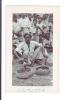 Photo #73
Snake Charmer in
Calcutta, India