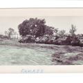 Photo #79
Tanks at
Ramree, Burma